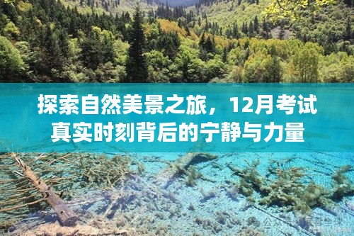 探寻自然美景之旅，考试背后的宁静与力量时刻