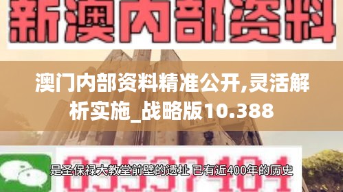 澳门内部资料精准公开,灵活解析实施_战略版10.388