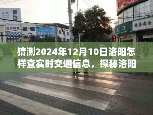 探秘洛阳小巷特色小店，2024年12月10日实时交通信息指南与交通查询攻略