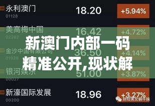 新澳门内部一码精准公开,现状解答解释定义_钻石版18.817