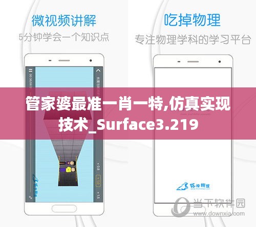 管家婆最准一肖一特,仿真实现技术_Surface3.219