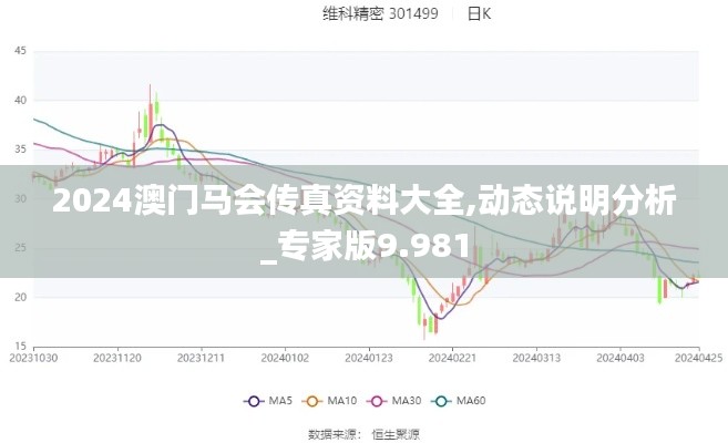 2024澳门马会传真资料大全,动态说明分析_专家版9.981