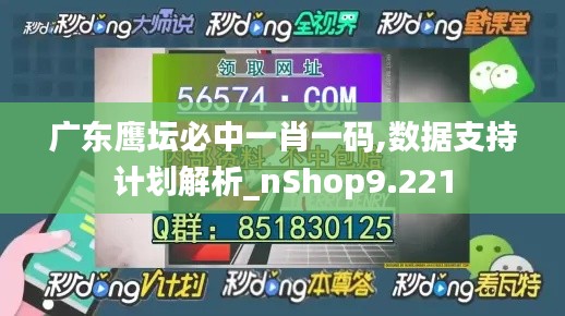 广东鹰坛必中一肖一码,数据支持计划解析_nShop9.221