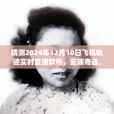 云端奇遇，飞机轨迹实时直播与奇妙一天的探索（2024年12月10日）