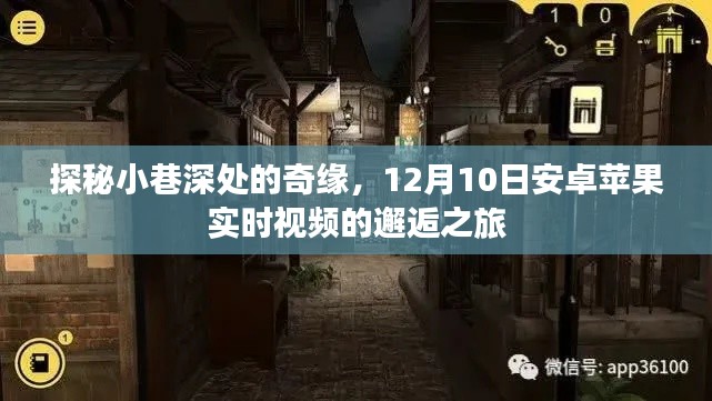 探秘小巷深处的奇缘，安卓苹果实时视频邂逅之旅（12月10日）