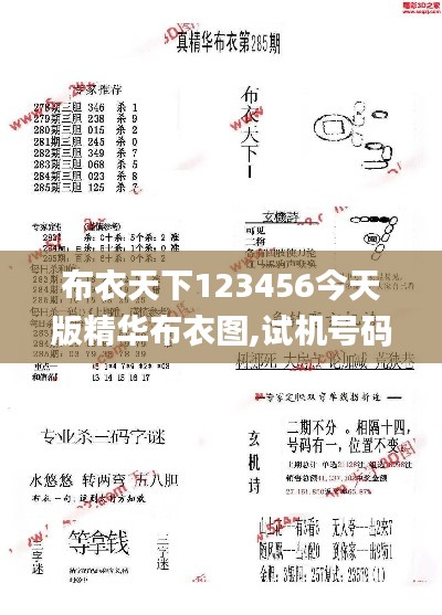 布衣天下123456今天版精华布衣图,试机号码,确保问题说明_RX版7.205