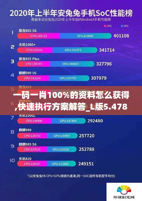 一码一肖100%的资料怎么获得,快速执行方案解答_L版5.478