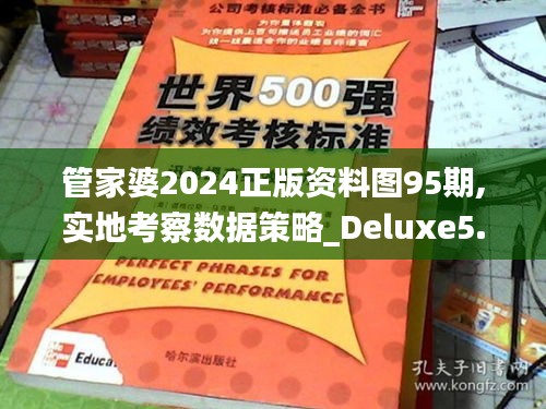 管家婆2024正版资料图95期,实地考察数据策略_Deluxe5.958