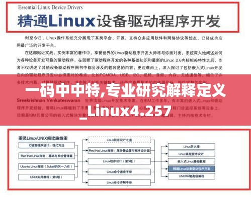 一码中中特,专业研究解释定义_Linux4.257