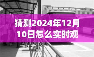 探秘公交追踪之旅，2024年实时追踪公交车与小巷特色小店的奇妙体验纪实