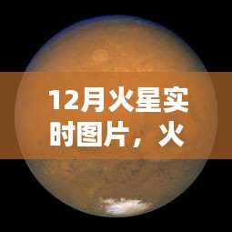 最新火星探测器图片体验报告，科技与生活的融合——火星实时观测与图片分享