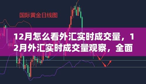 全面深度解析，12月外汇实时成交量观察与评测指南