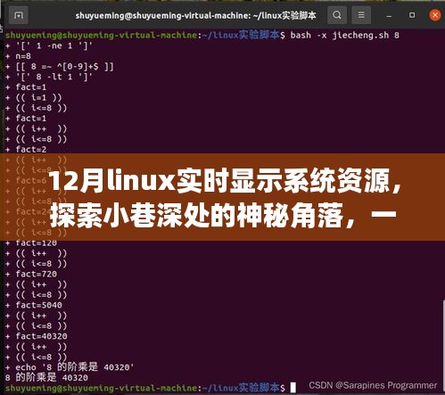 探索Linux资源实时显示特色小店，十二月系统资源监控与小巷深处的神秘角落