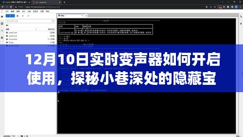 探秘隐藏宝藏，12月10日实时变声器开启指南，玩转声音魔法！