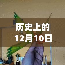 北航实时仿真技术里程碑事件，历史12月10日回顾