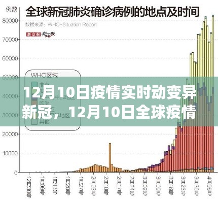 新冠病毒变异与全球防控进展报告，12月10日最新动态分析