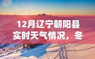 朝阳县冬日暖阳下的奇遇与实时天气探索