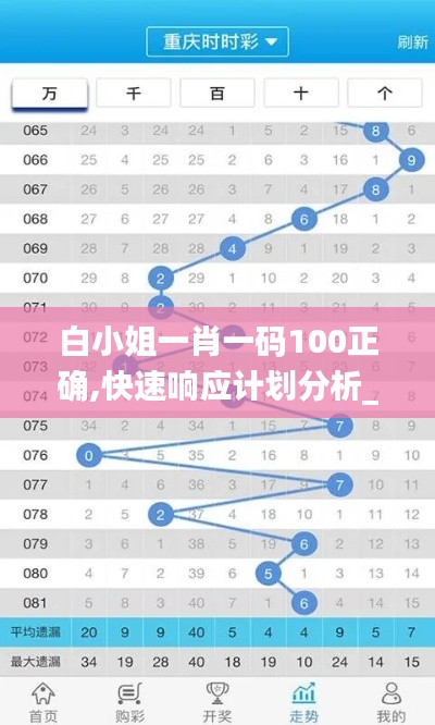 白小姐一肖一码100正确,快速响应计划分析_领航款9.855