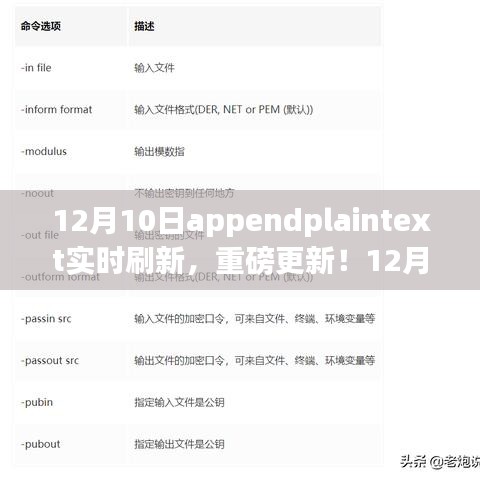 12月10日AppendPlainText实时刷新功能全新上线，实时更新，轻松管理文本内容