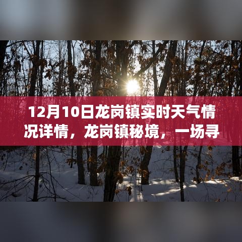 龙岗秘境，冬日旅行记与实时天气探索