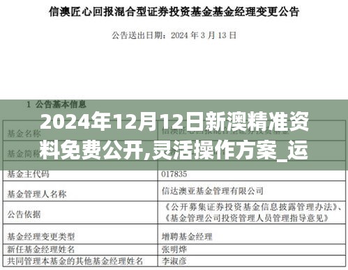 2024年12月12日新澳精准资料免费公开,灵活操作方案_运动版10.420