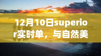 与自然美景的邂逅，寻找内心的平和之旅——Superior实时单体验