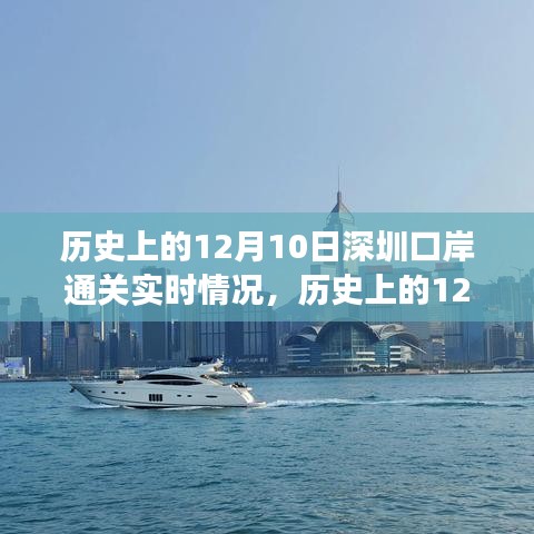 历史上的12月10日深圳口岸通关情况深度探析，实时情况与独特视角观察