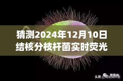 揭秘未来，结核分枝杆菌实时荧光PCR阳性检测背后的故事及意义解读（2024年12月10日）