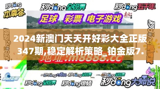 2024新澳门天天开好彩大全正版347期,稳定解析策略_铂金版7.136