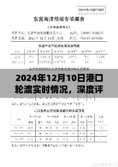 深度评测，2024年港口轮渡运营实录——以12月10日实时情况为例的全面解读