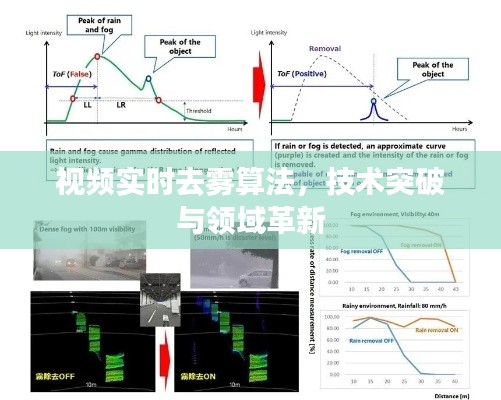 视频实时去雾算法，技术突破引领领域革新