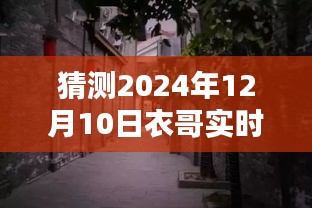 探秘衣哥带货新宠，特色小店揭秘与实时带货榜预测，2024年12月10日展望