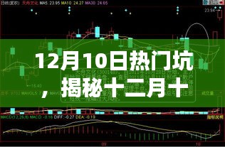 2024年12月 第511页