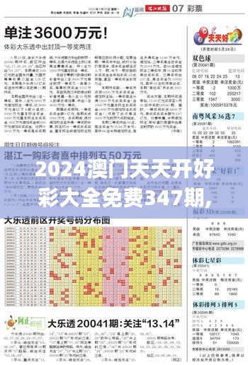 2024澳门天天开好彩大全免费347期,实践解答解释定义_mShop2.570