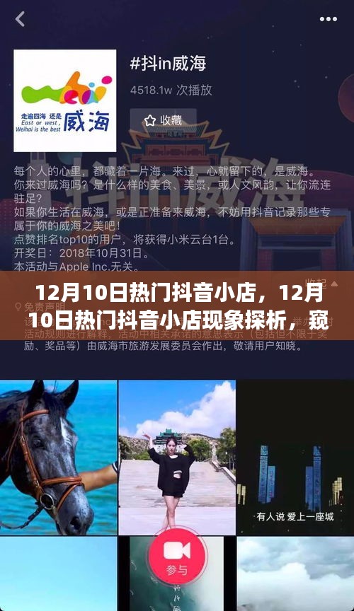 揭秘，12月10日抖音小店现象背后的成功秘诀