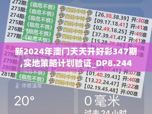 新2024年澳门天天开好彩347期,实地策略计划验证_DP8.244