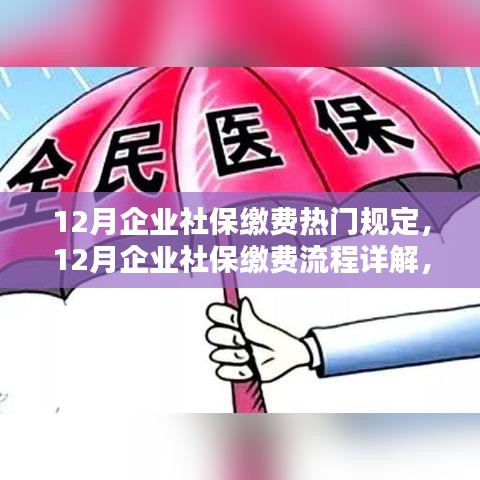 12月企业社保缴费规定与操作指南详解