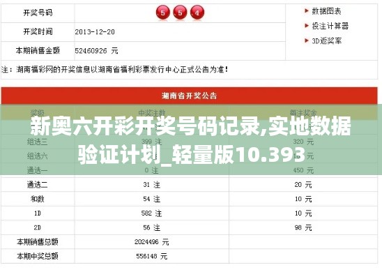 新奥六开彩开奖号码记录,实地数据验证计划_轻量版10.393