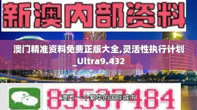 澳门精准资料免费正版大全,灵活性执行计划_Ultra9.432