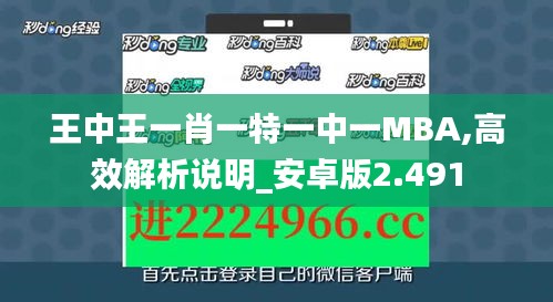 王中王一肖一特一中一MBA,高效解析说明_安卓版2.491