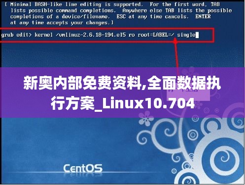 新奥内部免费资料,全面数据执行方案_Linux10.704