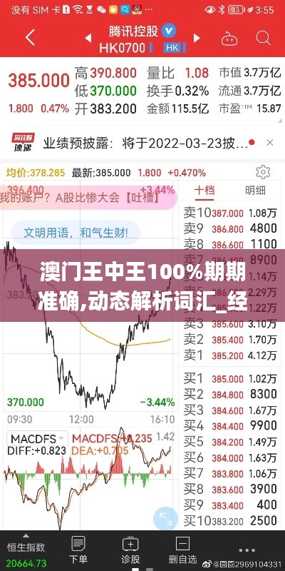 澳门王中王100%期期准确,动态解析词汇_经典款6.371