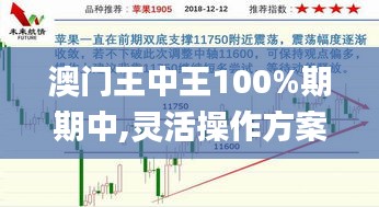 澳门王中王100%期期中,灵活操作方案_进阶版7.982