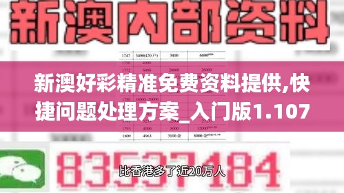 新澳好彩精准免费资料提供,快捷问题处理方案_入门版1.107