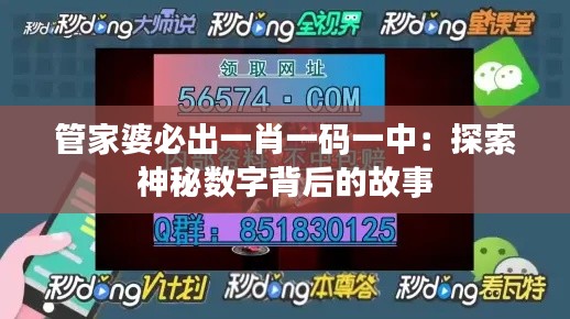 管家婆必出一肖一码一中：探索神秘数字背后的故事