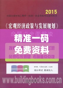 精准一码免费资料大全,全面理解执行计划_顶级款10.789