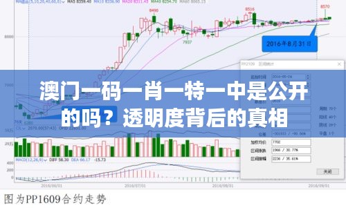 澳门一码一肖一特一中是公开的吗？透明度背后的真相