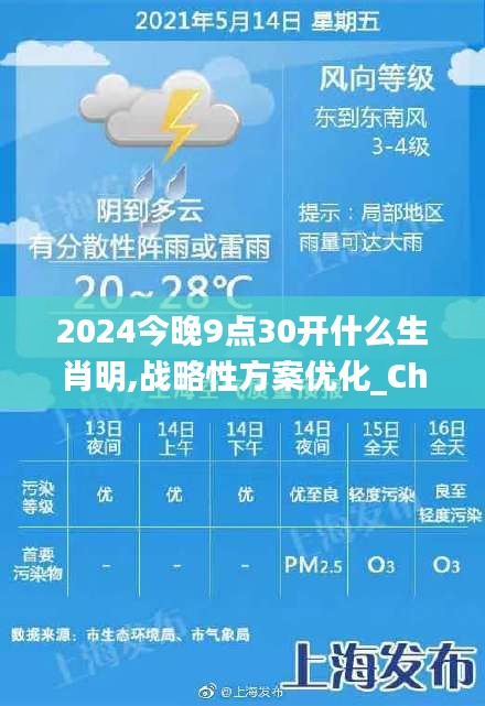 2024今晚9点30开什么生肖明,战略性方案优化_ChromeOS5.850