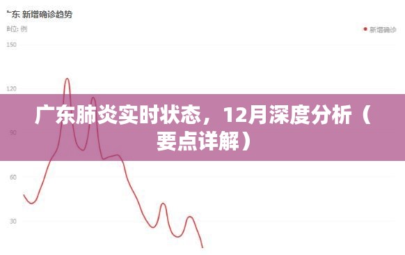 广东肺炎实时状态深度解析，12月最新分析与要点详解