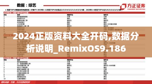 2024正版资料大全开码,数据分析说明_RemixOS9.186